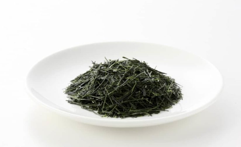 予約商品 2024年 新茶 八女茶 新茶ギフト (KG-3) 100g x 3袋 -