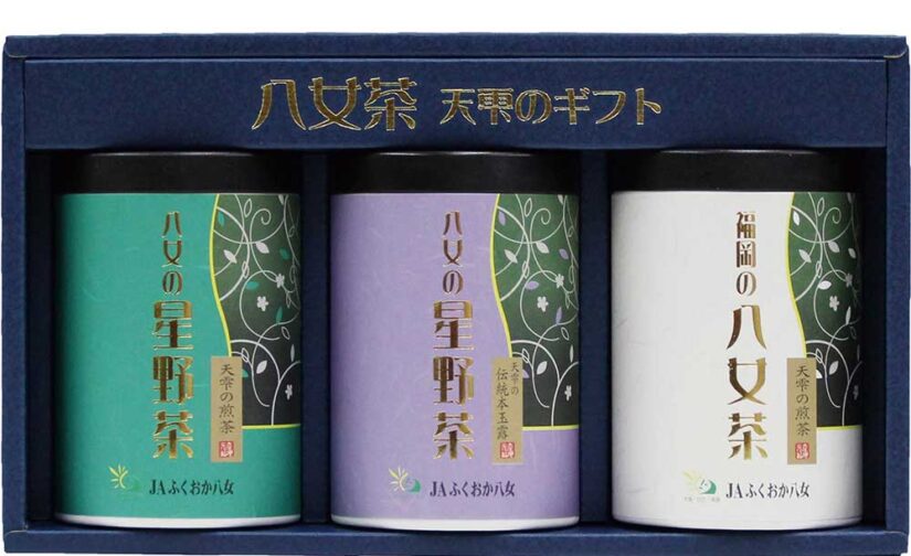 八女茶 天雫のギフト 星野村 煎茶 / 星野村伝統本 玉露 / 煎茶 100g