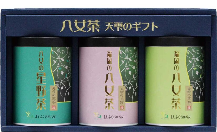 八女茶 天雫のギフト 星野村 煎茶 / 玉露 / 煎茶 100g 茶筒 (AST-50)