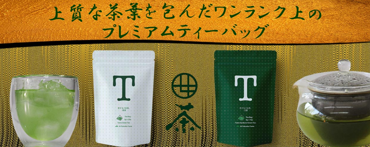 八女茶 煎茶 玉露 八女茶 お茶 Tシリーズ ギフト 新商品 JA福岡 八女 福岡