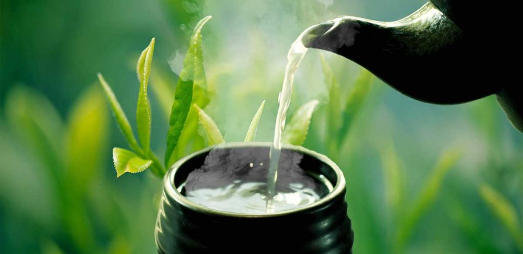 八女茶緑茶を知ることは 健康を知ることになります Jaふくおか八女 八女茶 通販