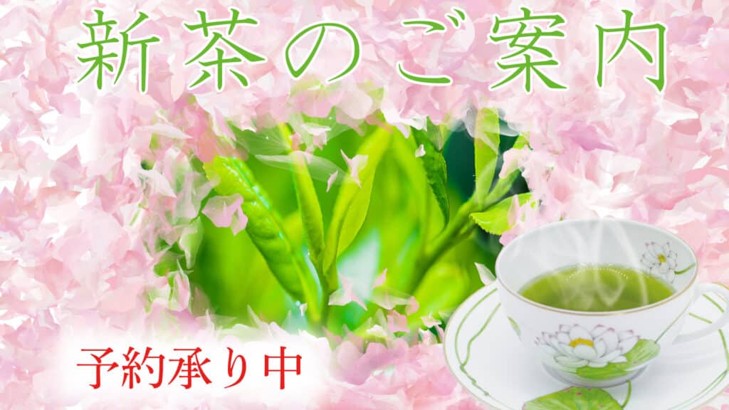 2021 year reiwa 3 new tea yame hosino gyokuro sencha yamecha ocha 新茶 予約 星野 八女 玉露 お茶 茶 令和３年