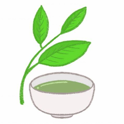 お茶の葉　お茶