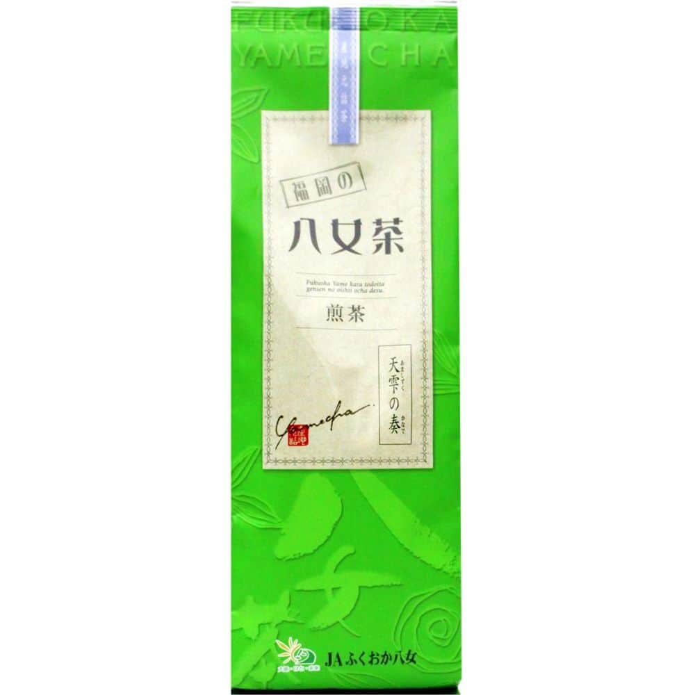 八女茶　一芯庵　煎茶