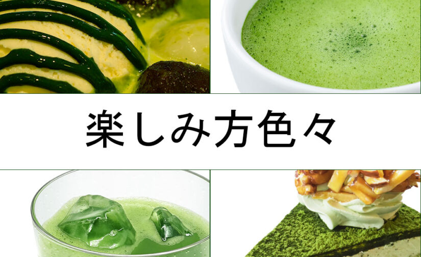 八女抹茶　おまけ付き おうちで八女抹茶 ミニシェイカー付き 16g（2g×8包） - JA