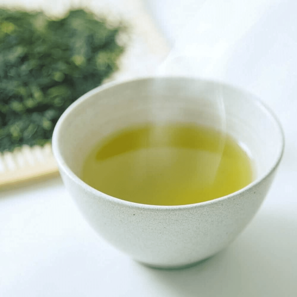 八女茶　新茶